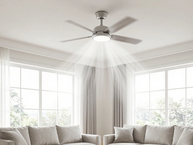 Ventilation Fan vs Extractor Fan: Which One Do You Actually Need?