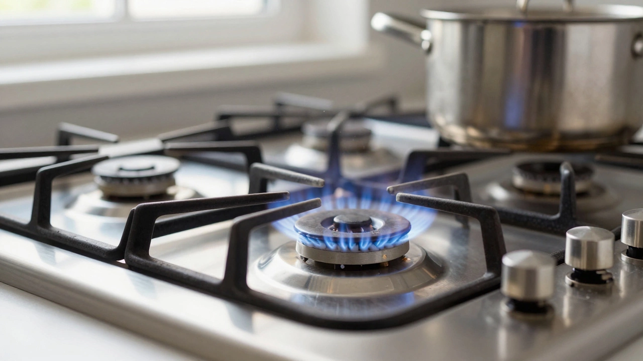 Can a Cooker Be Repaired? A Practical Guide to Fixing Your Stove or Oven